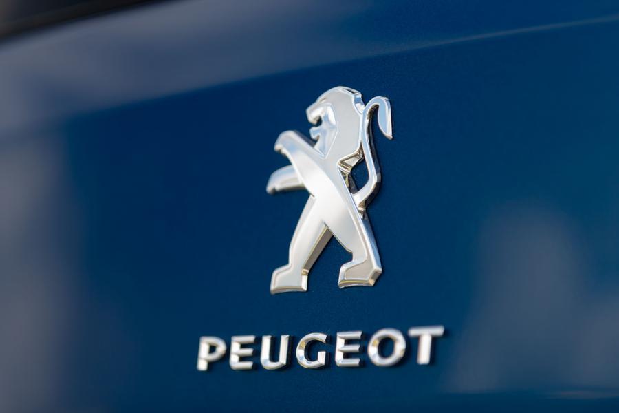 Логотип Peugeot Rifter 2018 года  (WW) (фото 26 из 43)